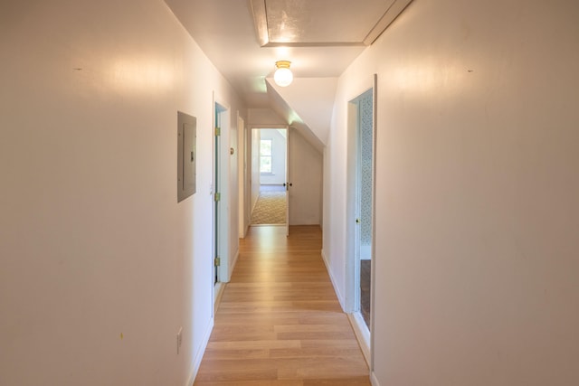 hallway featuring electric panel and light hardwood / wood-style floors