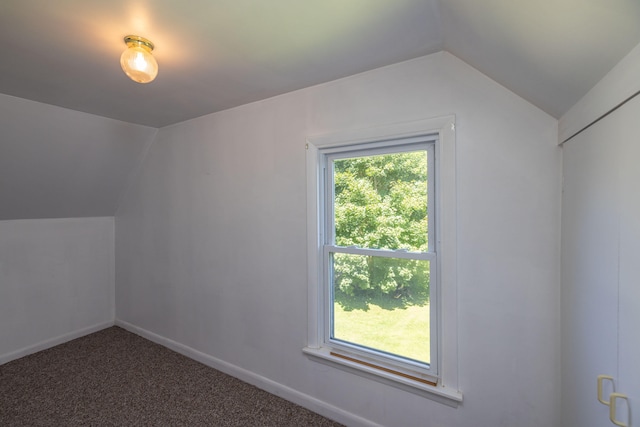 additional living space featuring lofted ceiling and carpet floors