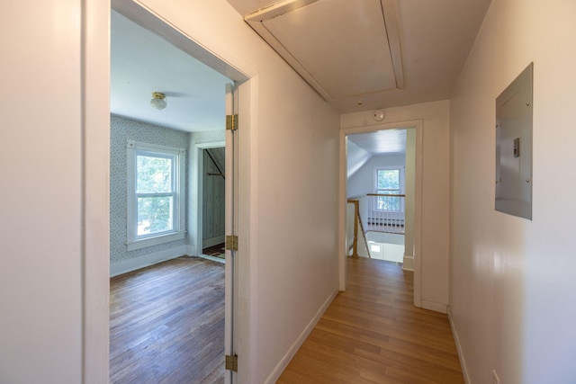 corridor featuring electric panel and hardwood / wood-style flooring