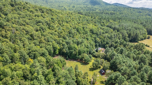 drone / aerial view featuring a mountain view