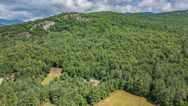 bird's eye view featuring a mountain view