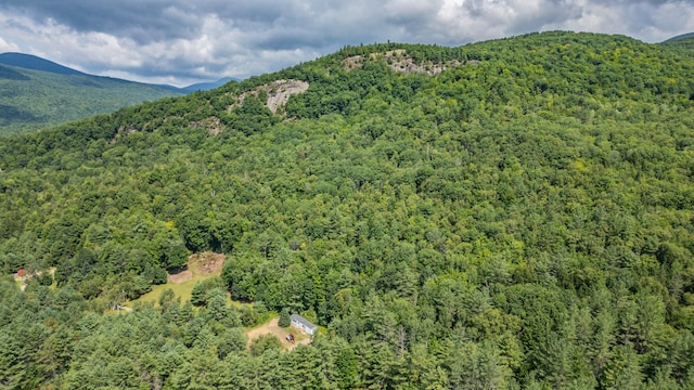 view of mountain feature