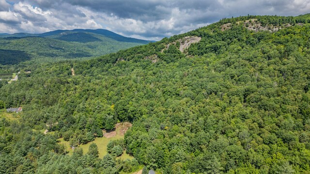 view of mountain feature