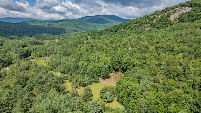 property view of mountains