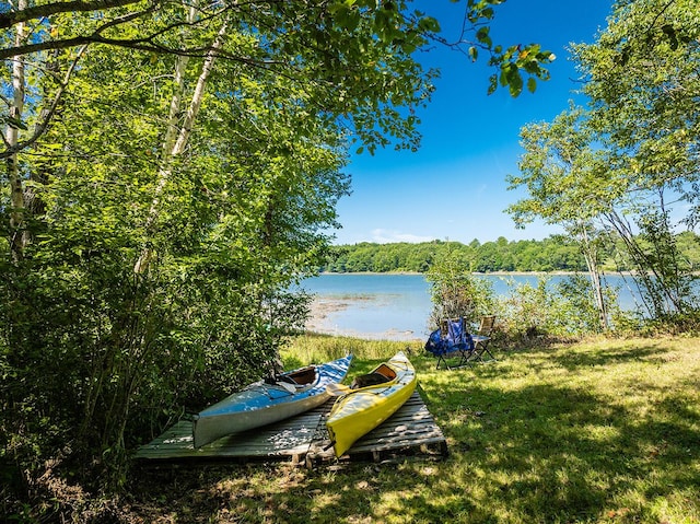 water view featuring a forest view