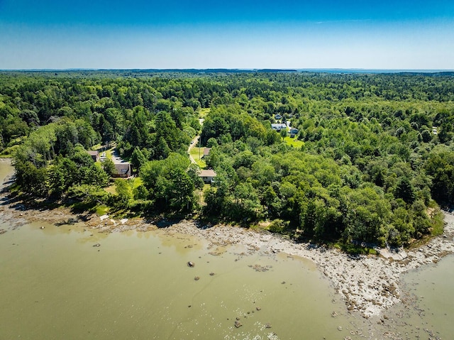 drone / aerial view with a water view and a wooded view