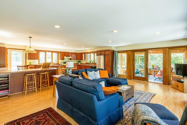 living room with light wood-type flooring