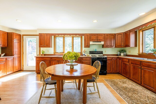 kitchen with white range, light hardwood / wood-style flooring, and a healthy amount of sunlight