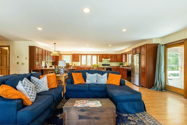 living room featuring light wood-type flooring