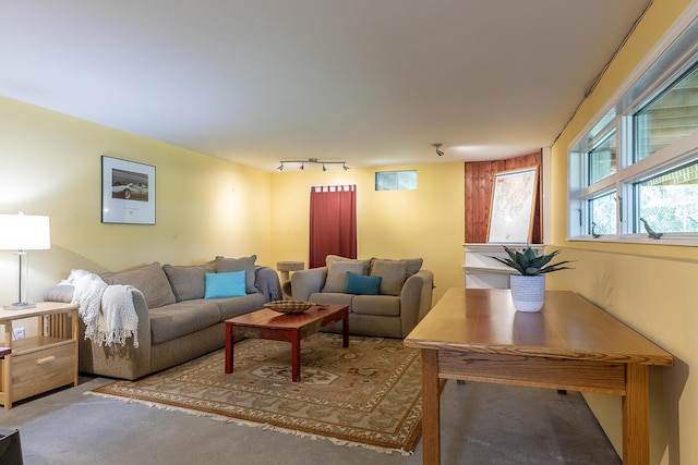 living area featuring rail lighting