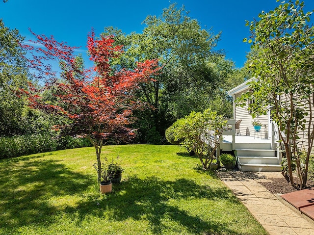 view of yard featuring a wooden deck