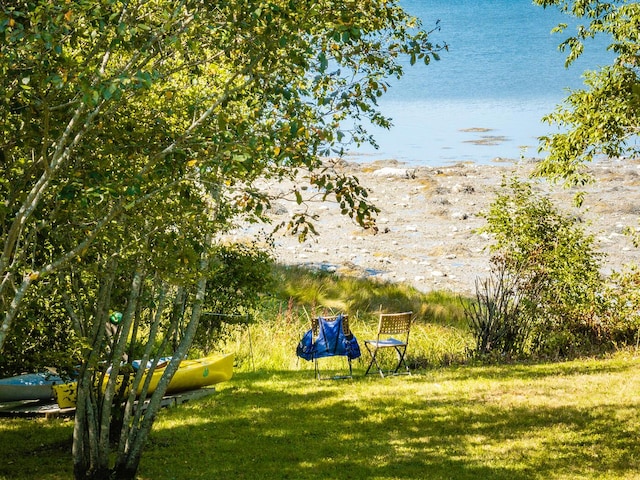 view of yard with a water view