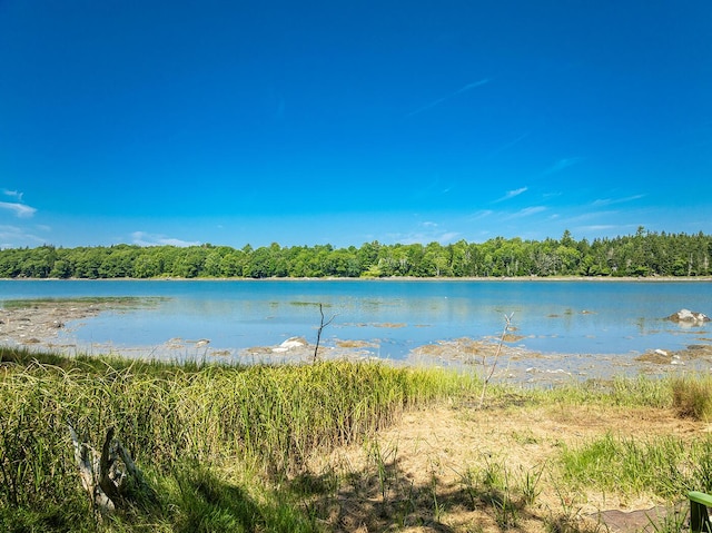 water view with a wooded view