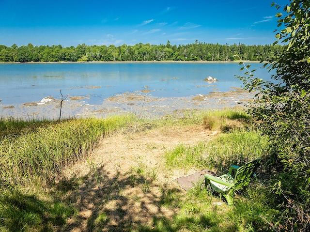 property view of water with a forest view