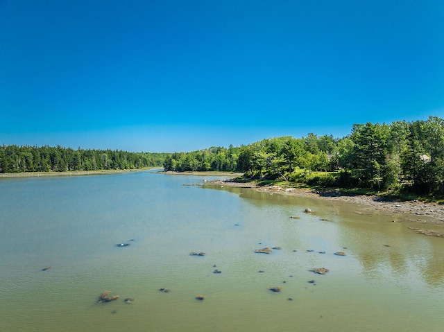 water view with a view of trees