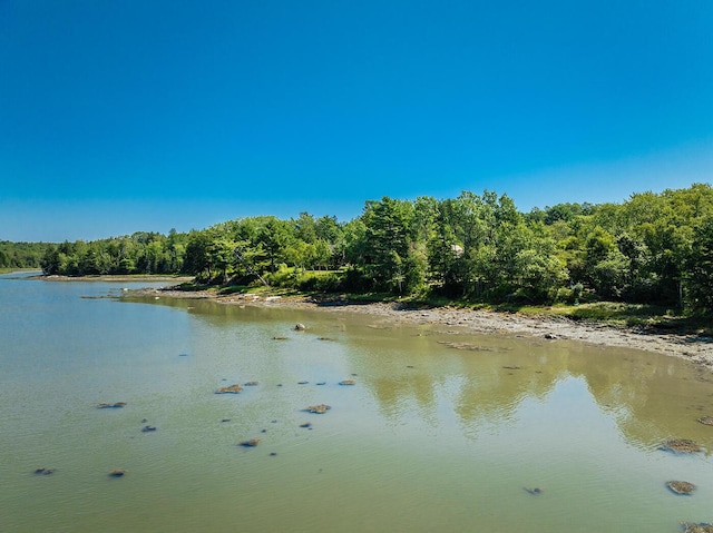 property view of water with a wooded view