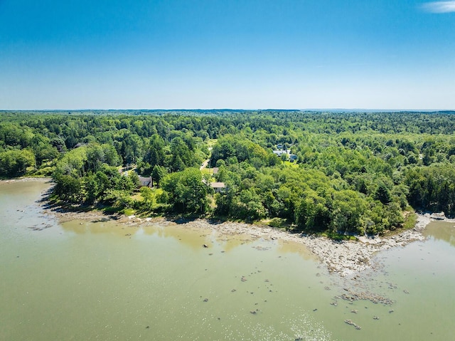 bird's eye view featuring a water view and a wooded view