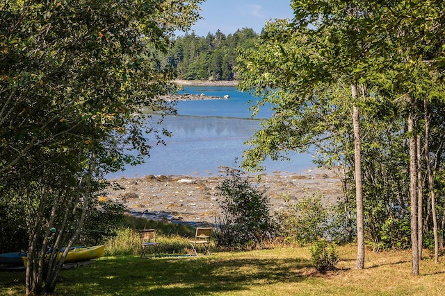 property view of water