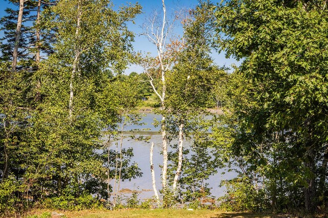 view of water feature