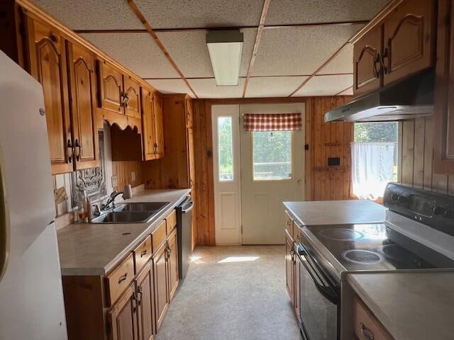 kitchen featuring sink, appliances with stainless steel finishes, a paneled ceiling, and a healthy amount of sunlight