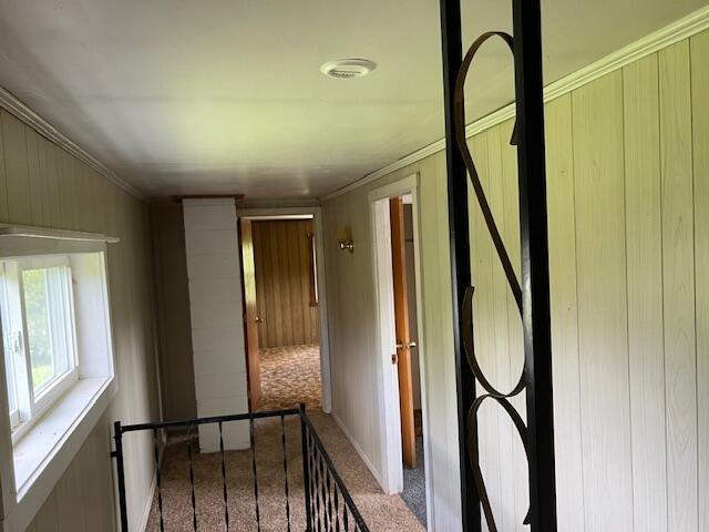 hallway with carpet flooring and crown molding