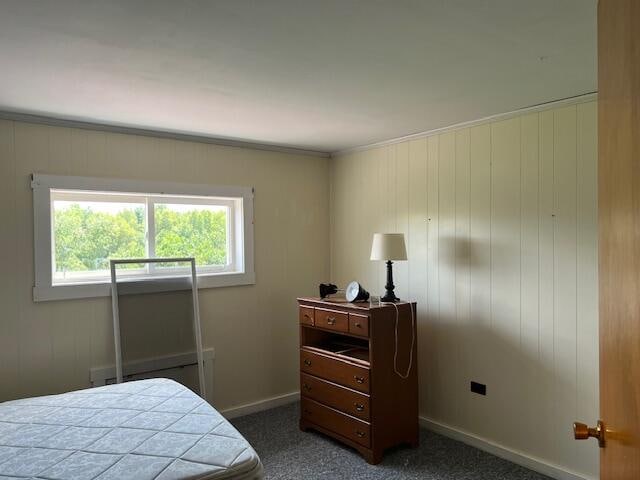 bedroom featuring dark colored carpet