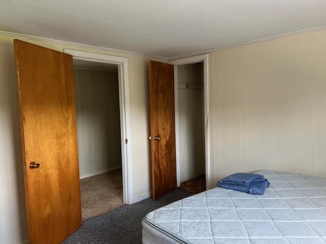 bedroom with carpet and a closet