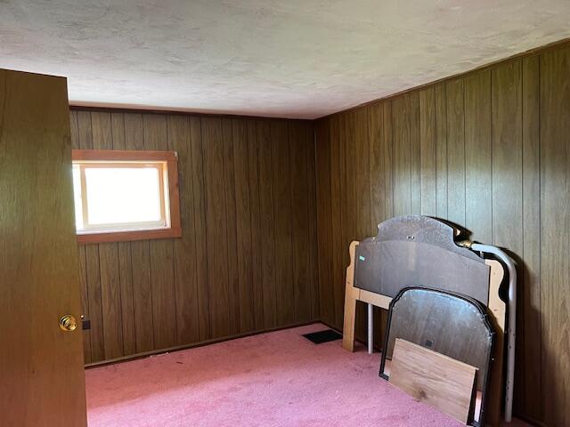 interior space with carpet flooring and wood walls