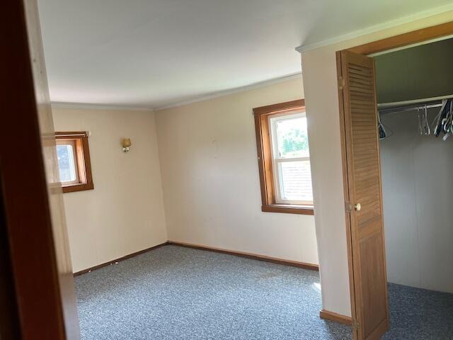 unfurnished bedroom featuring carpet floors, a closet, and ornamental molding