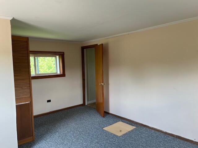 carpeted spare room with ornamental molding