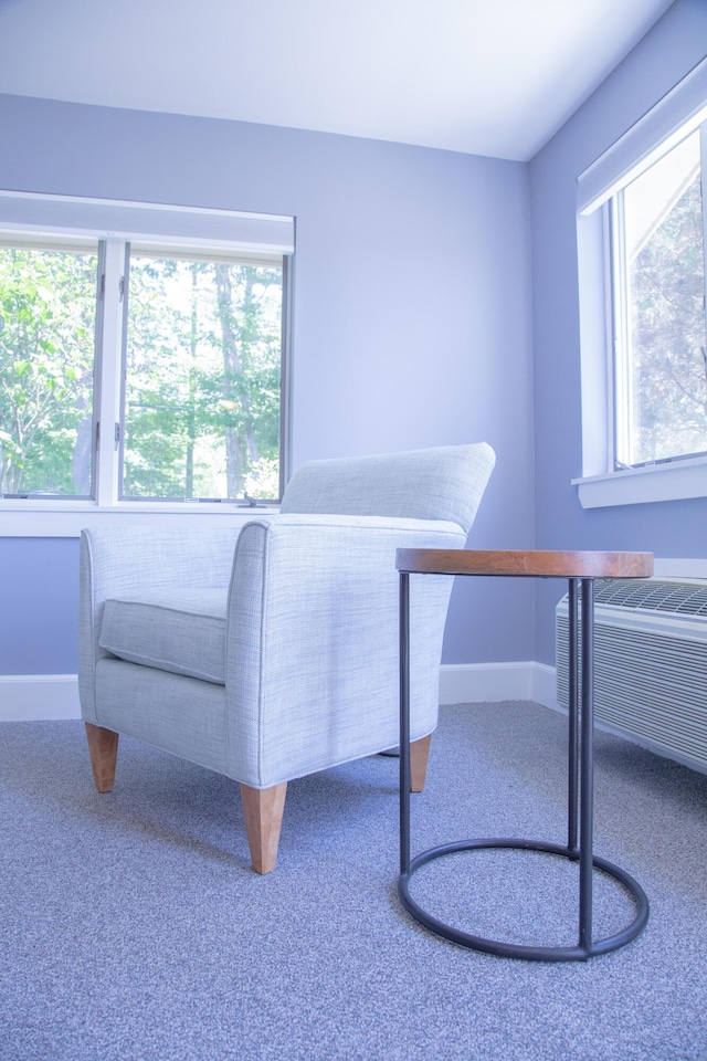 interior space featuring carpet