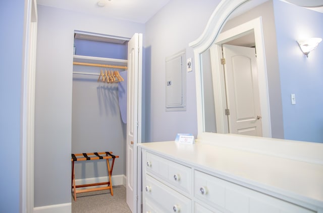 bathroom featuring vanity and electric panel