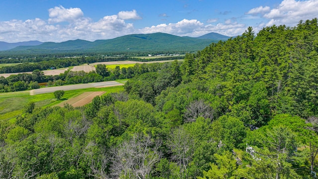 363 Main St, Fryeburg, ME 04037 - view of mountain backdrop