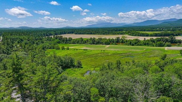 363 Main St, Fryeburg, ME 04037 - view of mountain background with rural landscape