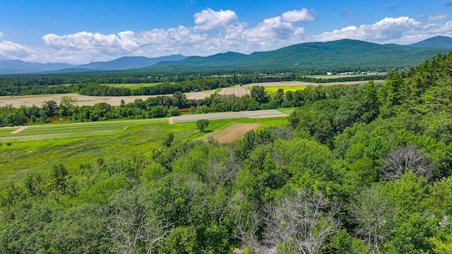 363 Main St, Fryeburg, ME 04037 - view of mountain background with rural landscape