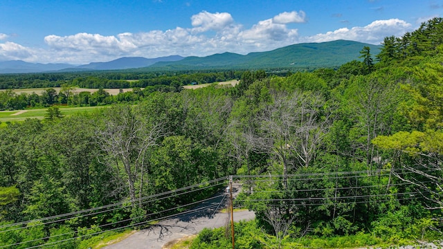 363 Main St, Fryeburg, ME 04037 - view of mountain background with a forest