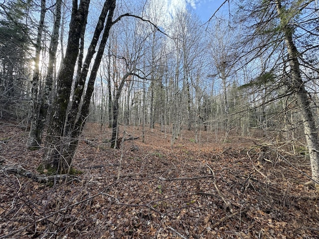 MAP11LOT1 High St, Westfield, ME 04730