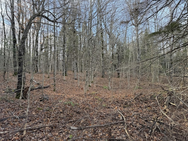 MAP11LOT1 High St, Westfield, ME 04730
