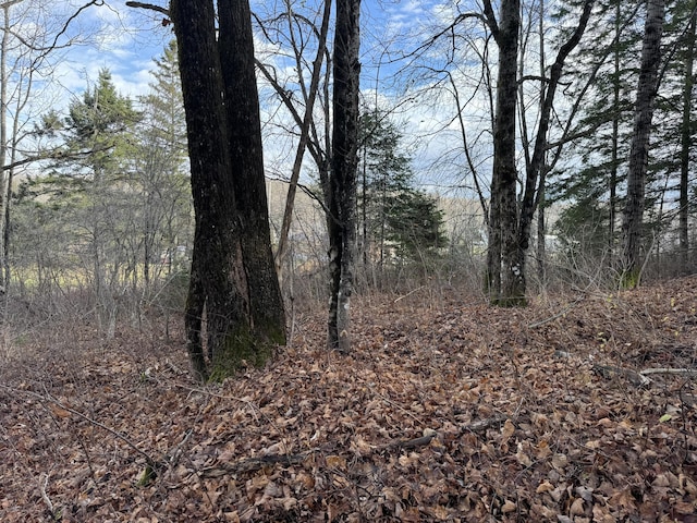 MAP11LOT1 High St, Westfield, ME 04730