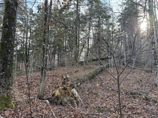 MAP11LOT1 High St, Westfield, ME 04730