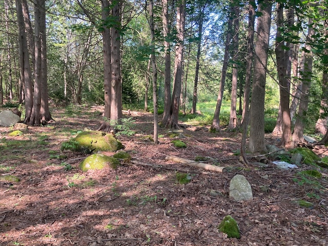 LOT6 Congress St, Belfast ME, 04915 land for sale