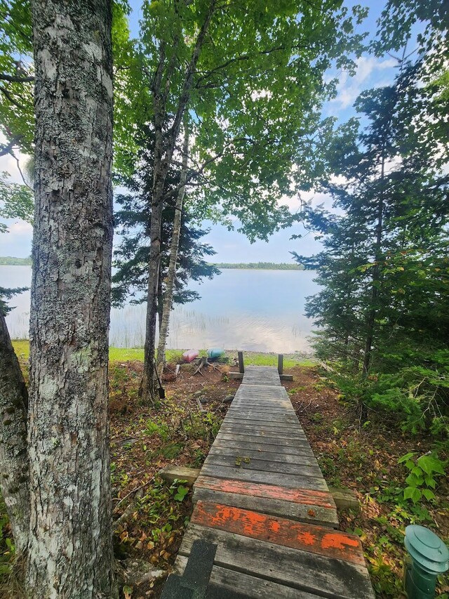 view of home's community featuring a water view