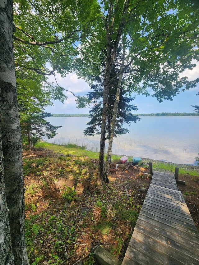 view of yard featuring a dock and a water view