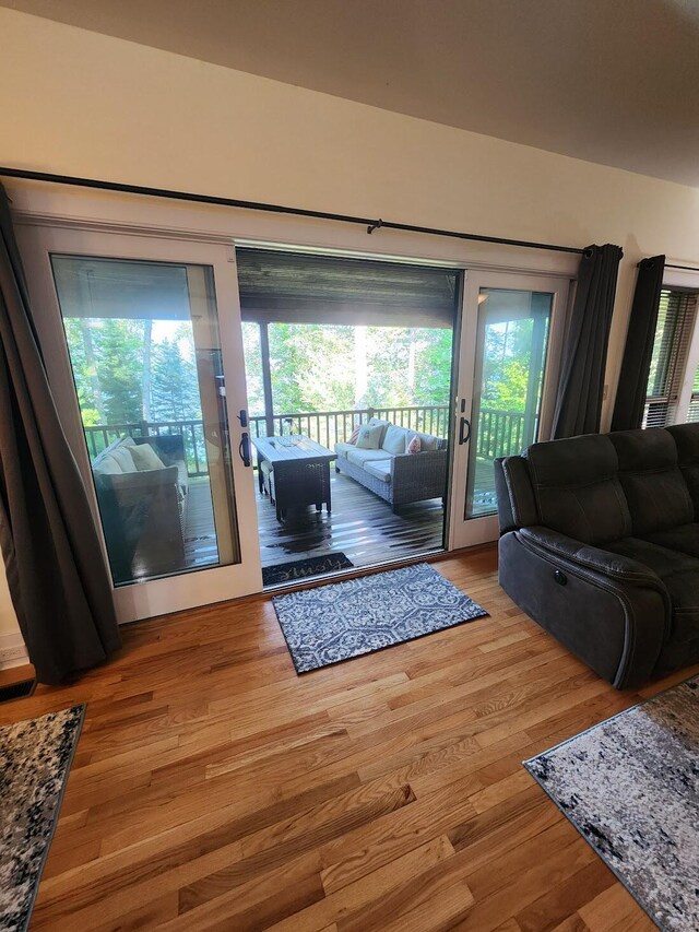 living room featuring light hardwood / wood-style floors and a healthy amount of sunlight