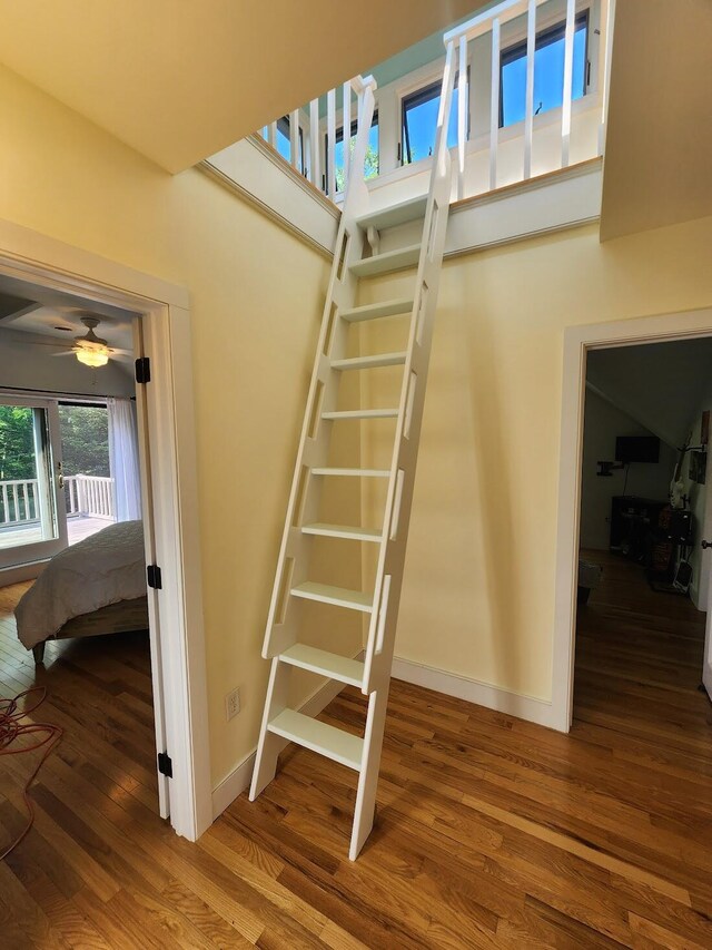 stairs featuring ceiling fan and hardwood / wood-style floors