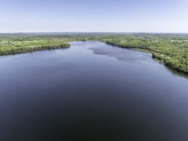 166 Kingfisher Trl, Perry, ME 04667 - drone / aerial view of a forest and a large body of water