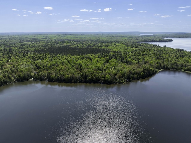 166 Kingfisher Trl, Perry, ME 04667 - drone / aerial view of a forest and a large body of water