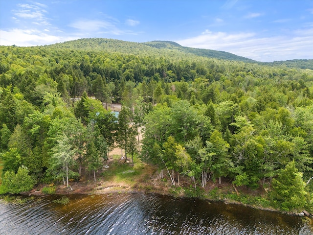 property view of mountains featuring a water view