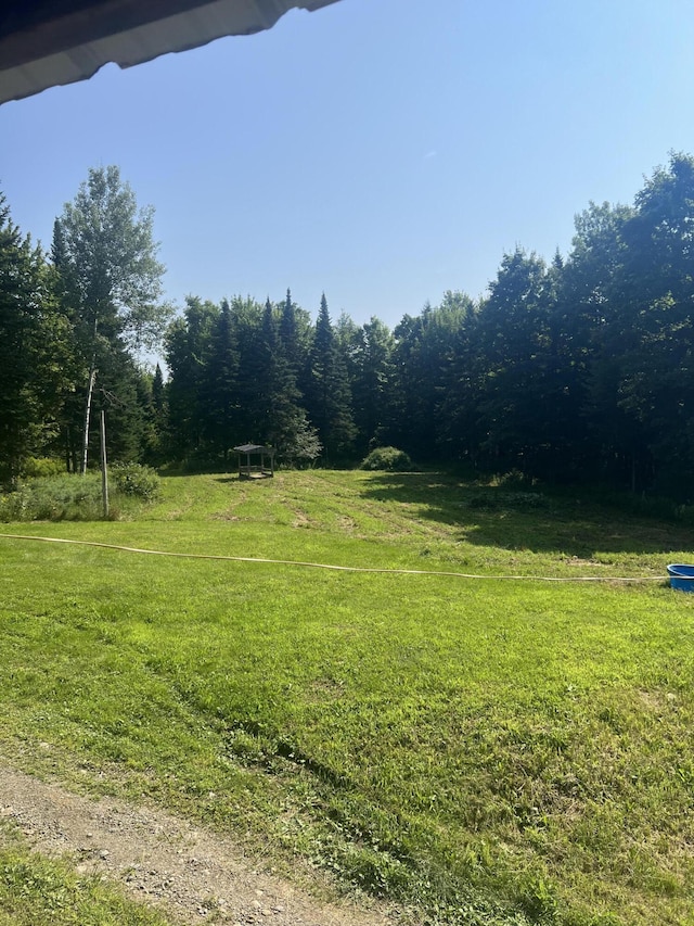 63 Rebel Hill Rd, Merrill, ME 04780 - view of yard