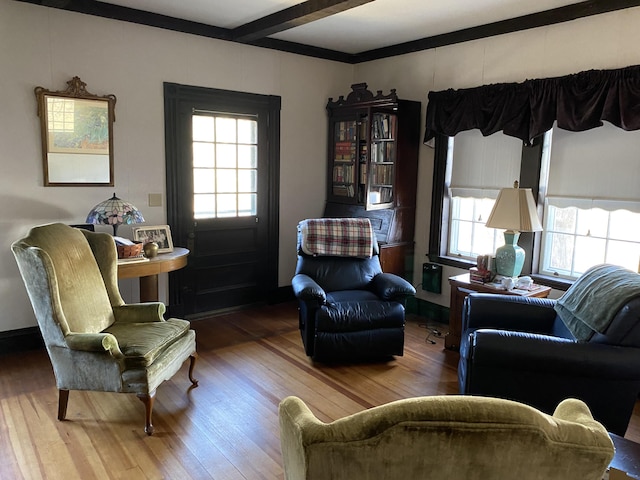 living room with wood-type flooring and a healthy amount of sunlight